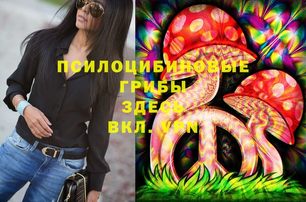 тгк Козельск