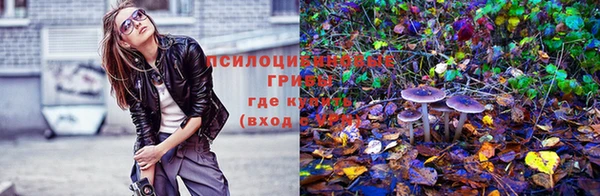 тгк Козельск